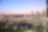 Pearl Site