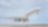Jet plane taking off from a runway at an airport