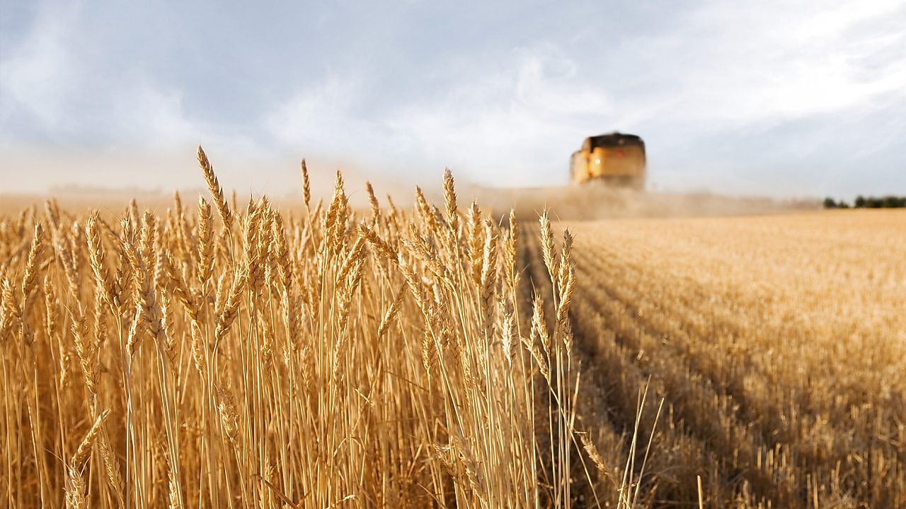 Growing profitability in agriculture