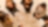 Aerial view of group of employees talking