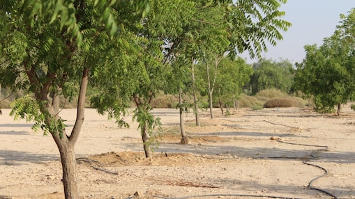 QSRTC - Water Solutions Photo